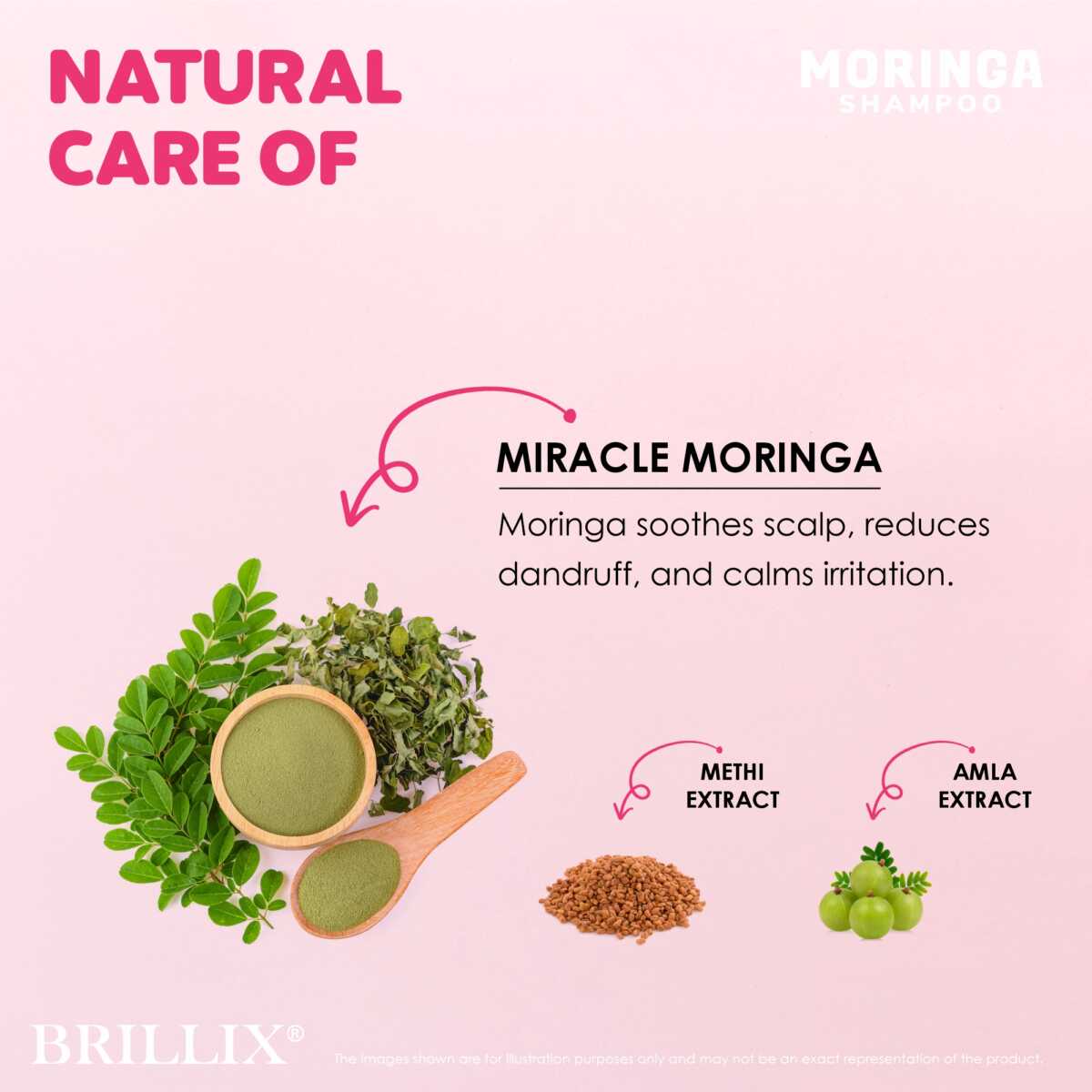 Moringa Shampoo 300ml